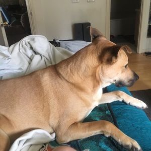 Meet your Posher, Scott